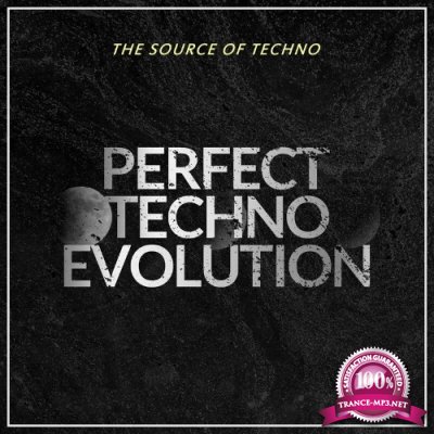Perfect Techno Evolution (The Source Of Techno) (2022)