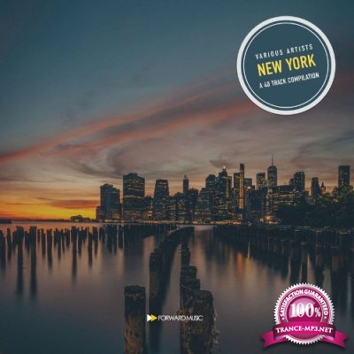 A 40 Track Compilation: New York (2022)