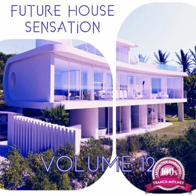 Future House Sensation, Vol.12 (BEST SELECTION OF CLUBBING HOUSE TRACKS) (2022)
