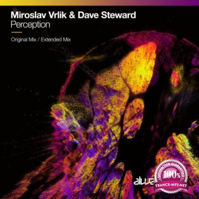 Miroslav Vrlik & Dave Steward - Perception (2022)