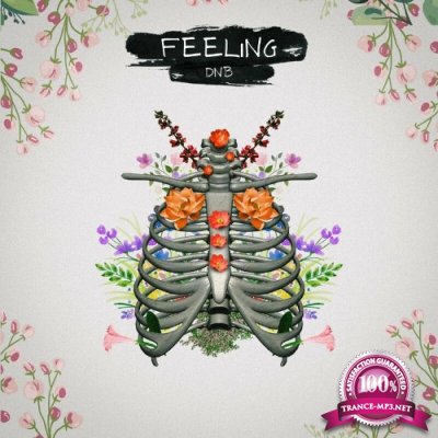 Noz Recordings - Feeling DnB (2022)