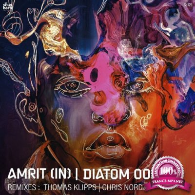 Amrit - Diatom Ooze (2022)