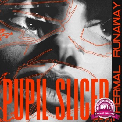 Pupil Slicer - Thermal Runaway (2022)