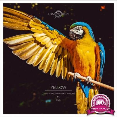 DJ Mysterioo Arif & DJ Katrin Love - Yellow (2022)