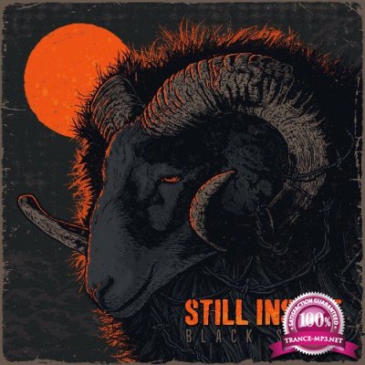 Still Insane - Black Sheep (2022)