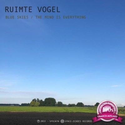 Ruimte Vogel - Blue Skies (2022)