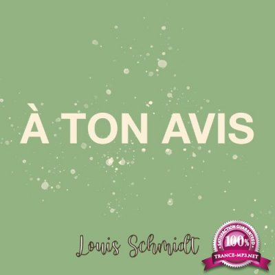 Louis Schmidt - A Ton Avis (2022)
