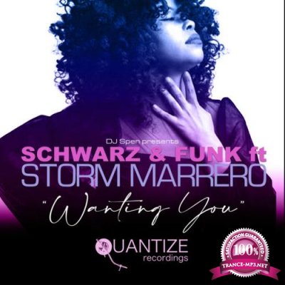 Schwarz & Funk & Storm Marrero - Wanting You (2022)