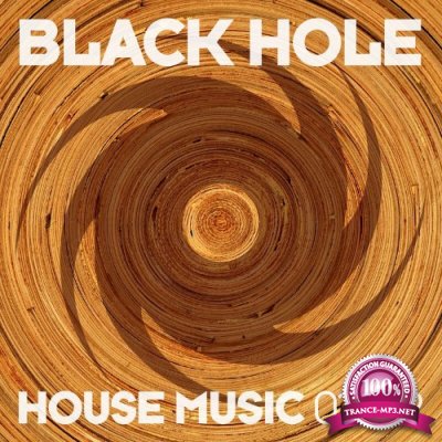 Black Hole House Music 02-22 (2022)