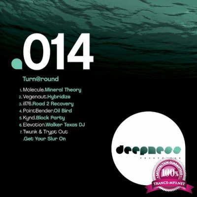 Deepness Recordings - Turn@round (2022)