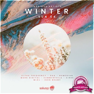 Winter Sun 04 (2022)