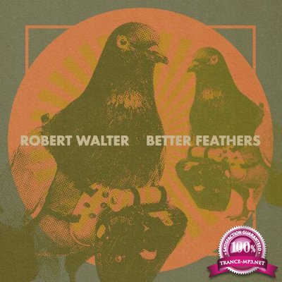 Robert Walter - Better Feathers (2022)