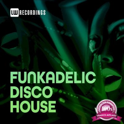 Funkadelic Disco House, 14 (2022)
