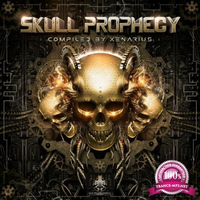 Multidimensional Music - Skull Prophecy (2022)