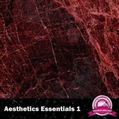 Aesthetics Essentials 1 (2022)