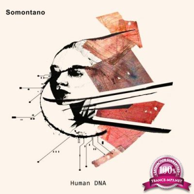 Somontano - Human Dna (2022)