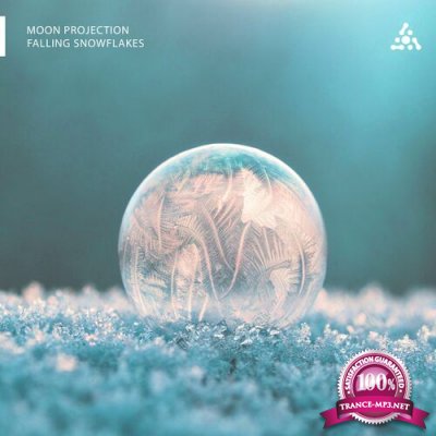 Moon Projection - Falling Snowflakes (2022)