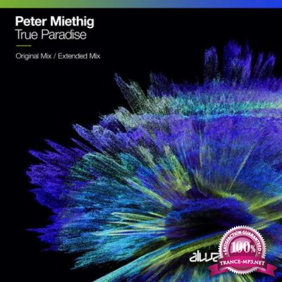 Peter Miethig - True Paradise (2022)