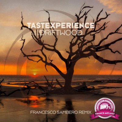 Tastexperience - Driftwood (Francesco Sambero Remix) (2022)