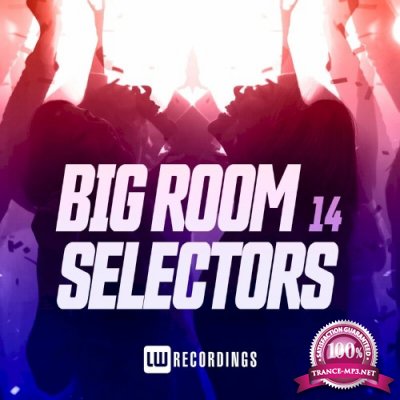 Big Room Selectors, 14 (2022)