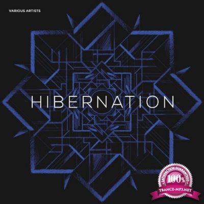 Air Music - Hibernation (2022)