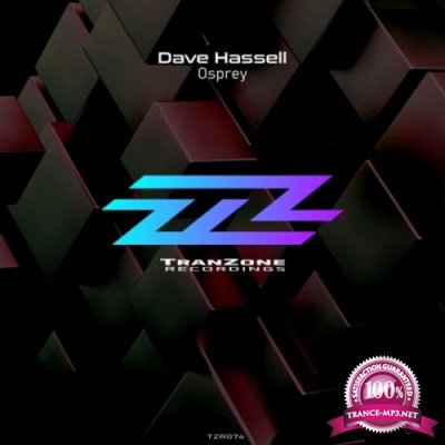 Dave Hassell - Osprey (2022)