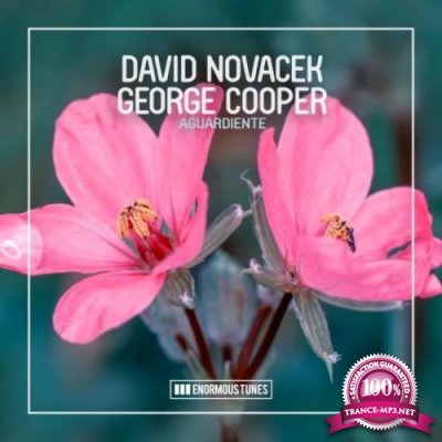 David Novacek & George Cooper - Aguardiente (2022)