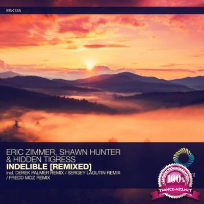 Eric Zimmer x Shawn Hunter & Hidden Tigress - Indelible (Remixed) (2022)