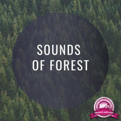 Masa - Sounds of Forest (2022)