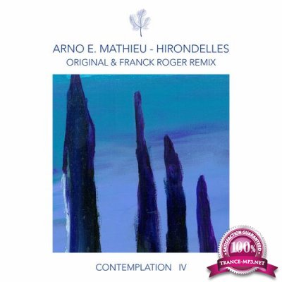 Arno E. Mathieu - Contemplation IV - Hirondelles (2022)