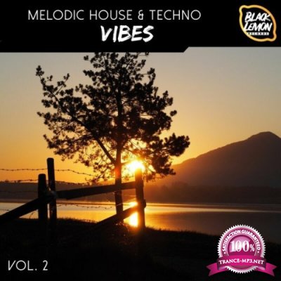 Melodic House & Techno Vibes, Vol. 2 (2022)