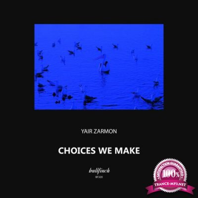 Yair Zarmon - Choices We Make (2022)