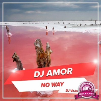 DJ Amor - No Way (DJ VoJo Remix) (2022)