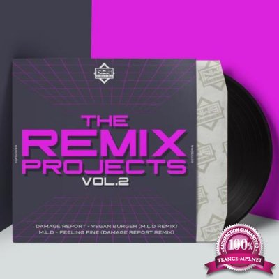 Damage Report & M.L.D - The Remix Projects Vol 2 (2022)