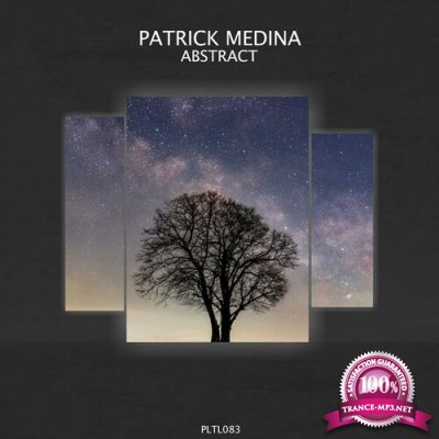Patrick Medina - Abstract (2022)