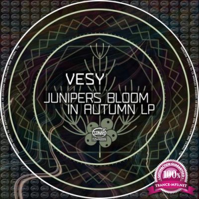 Vesy - Junipers Bloom In Autumn Lp (2022)