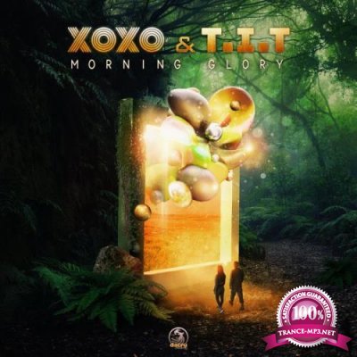 Xoxo & T.I.T - Morning Glory (2022)