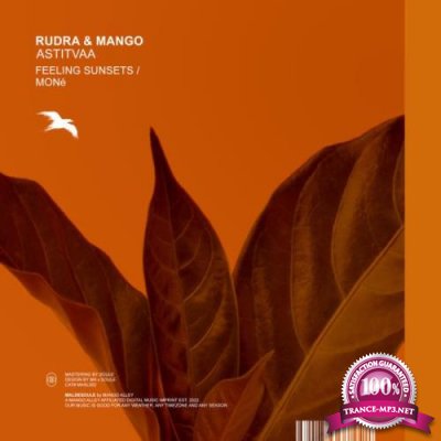 Rudra & Mango - Astitvaa (2022)