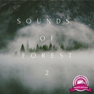 Sounds of Forest 2 (2022)