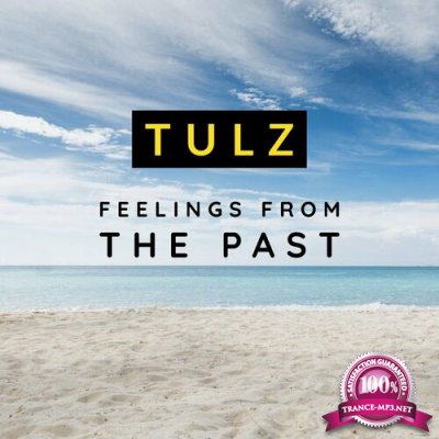 Tulz - Feelings From The Past (2022)