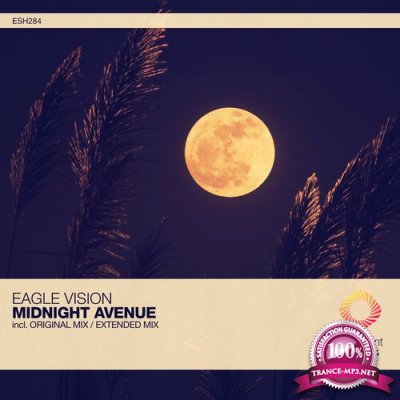 Eagle Vision - Midnight Avenue (2022)