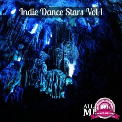 Indie Dance Stars Vol 1 (2022)