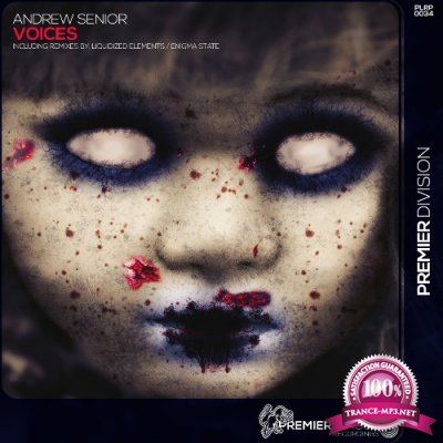Andrew Senior - Voices (2022)