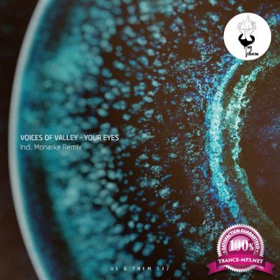 Voices of valley - Your Eyes (2022)