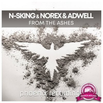 N-sKing vs Norex & Adwell - From the Ashes (2022)