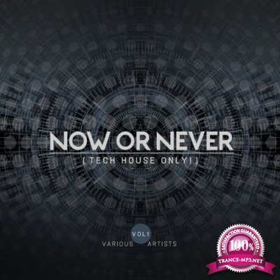 Now Or Never, Vol. 1 (Tech House Only!) (2022)