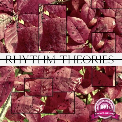 Rhythm Assembler - Rhythm Theories 002 (2022)