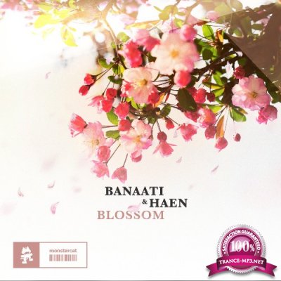 Banaati & Haen - Blossom (2022)