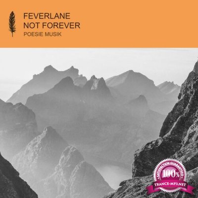 Feverlane - Not Forever (2022)