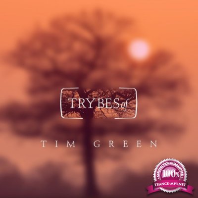 Tim Green - Pyxis EP (2022)
